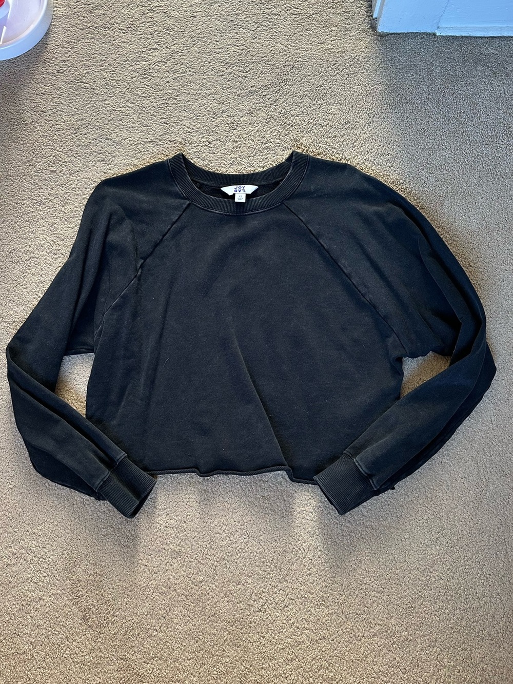Cropped Sweatshirt